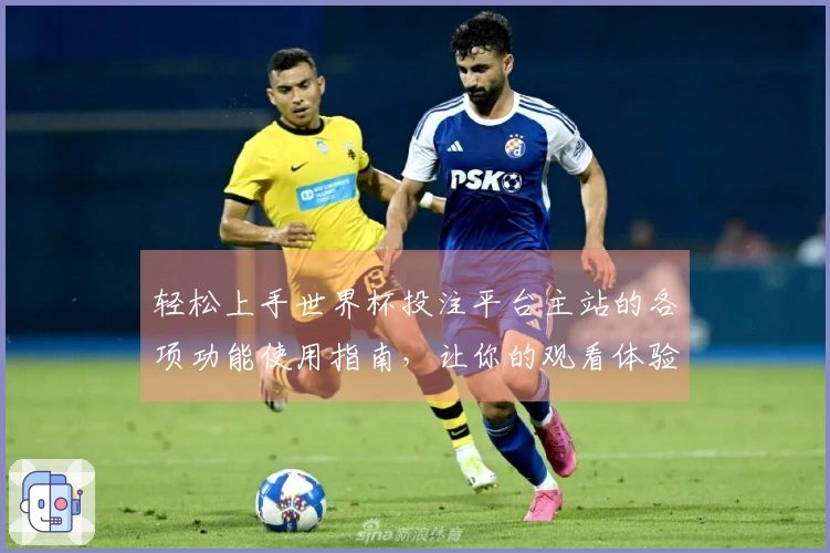 轻松上手世界杯投注平台主站的各项功能使用指南，让你的观看体验更佳