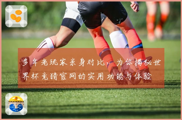多年老玩家亲身对比，为你揭秘世界杯竞猜官网的实用功能与体验