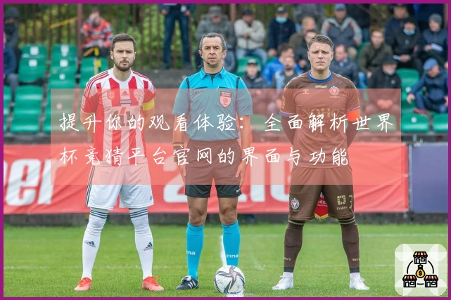 提升你的观看体验：全面解析世界杯竞猜平台官网的界面与功能