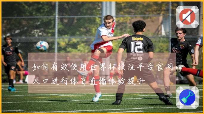如何有效使用世界杯投注平台官网入口进行体育直播体验提升