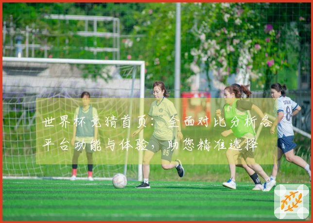 世界杯竞猜首页：全面对比分析各平台功能与体验，助您精准选择