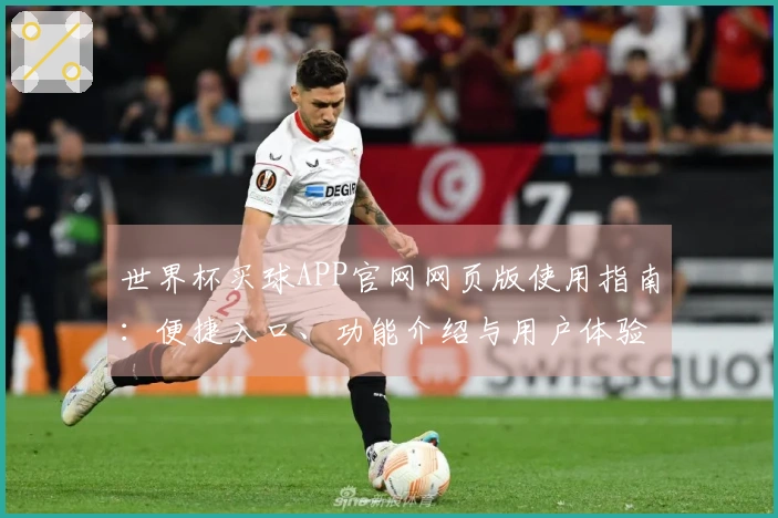 世界杯买球APP官网网页版使用指南：便捷入口、功能介绍与用户体验全方位解析