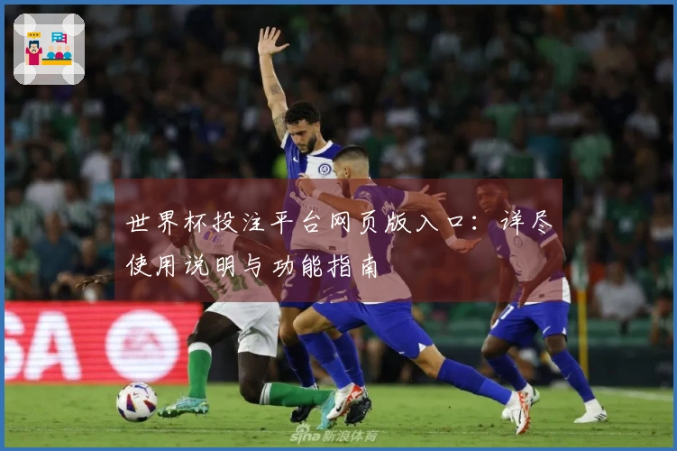 世界杯投注平台网页版入口：详尽使用说明与功能指南